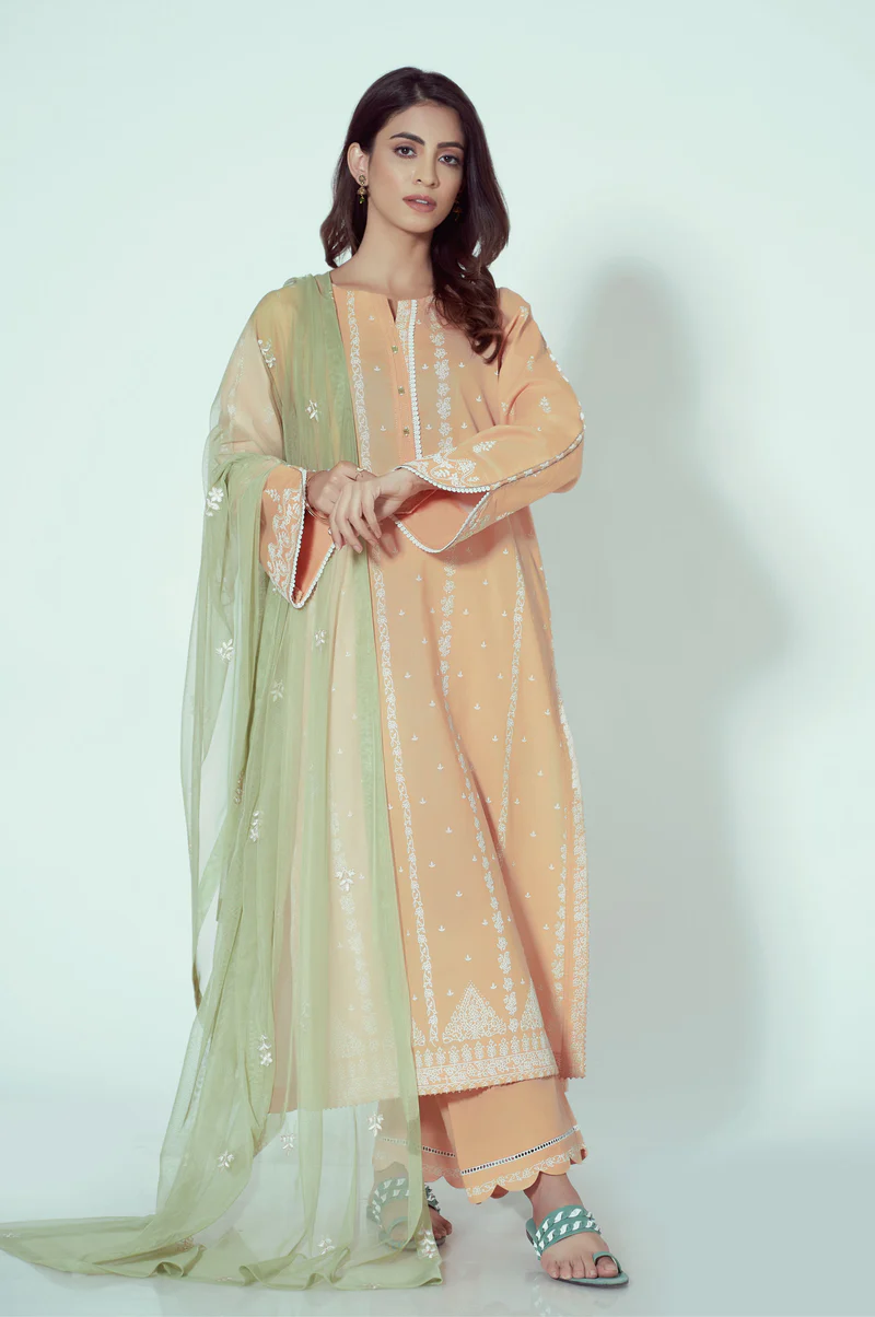 Stitched 2 Piece Cotton Net Embroidered